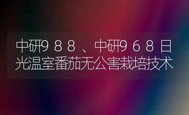 中研988、中研968日光温室番茄无公害栽培技术 | 植物科普