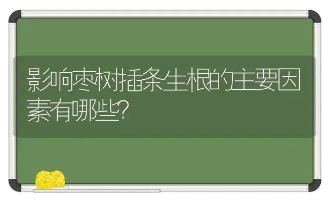 影响枣树插条生根的主要因素有哪些？ | 植物科普