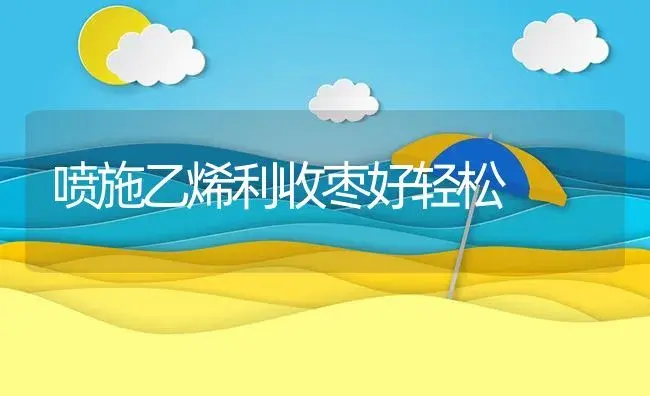 喷施乙烯利收枣好轻松 | 植物资料