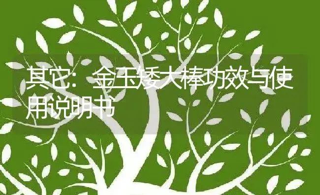 其它：金玉矮大棒 | 适用防治对象及农作物使用方法说明书 | 植物资料