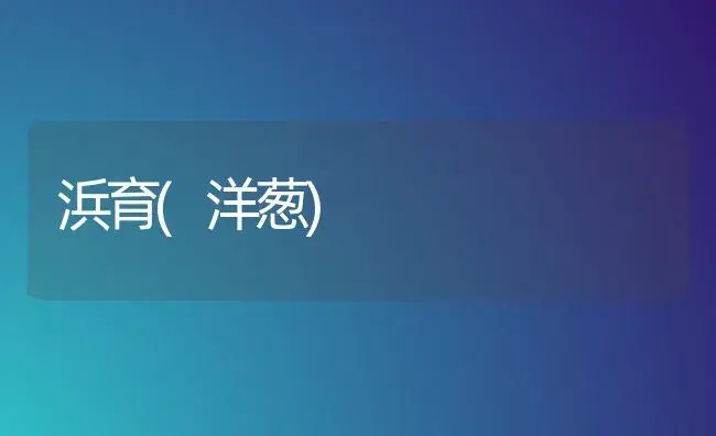鸡腿菇种植 | 植物科普