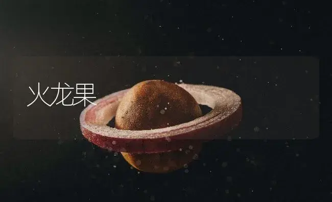 火龙果 | 植物百科