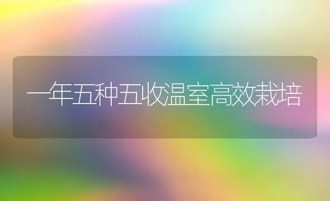 一年五种五收温室高效栽培 | 植物科普