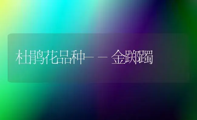 杜鹃花品种--金踯躅 | 植物科普