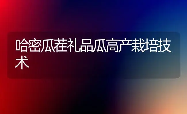 哈密瓜茬礼品瓜高产栽培技术 | 植物科普