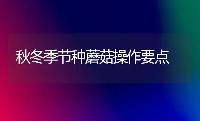 秋冬季节种蘑菇操作要点 | 植物科普