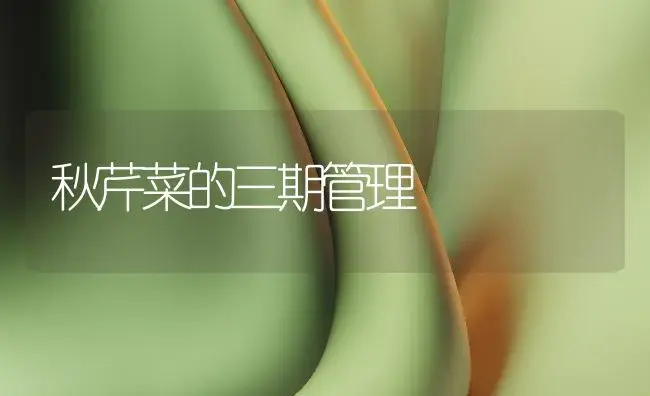 秋芹菜的三期管理 | 植物百科