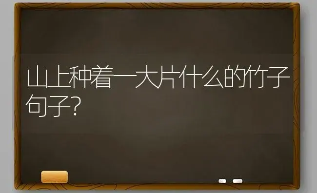 油画吊兰生长速度？ | 植物问答