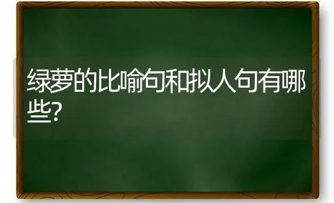 绿萝的比喻句和拟人句有哪些？ | 植物问答