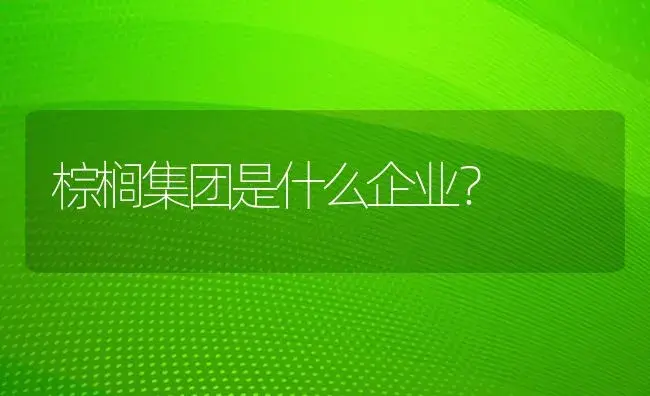 棕榈集团是什么企业？ | 植物问答