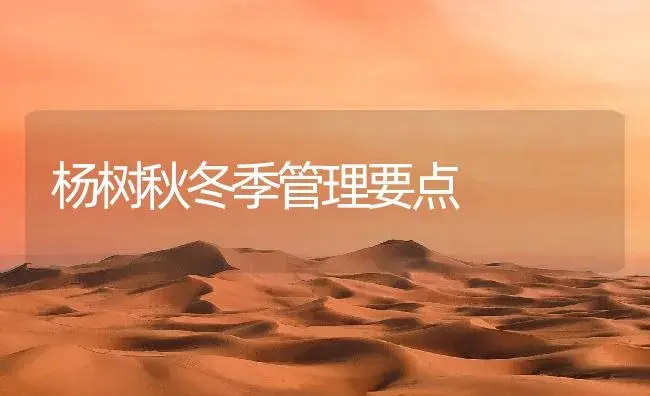 杨树秋冬季管理要点 | 植物知识