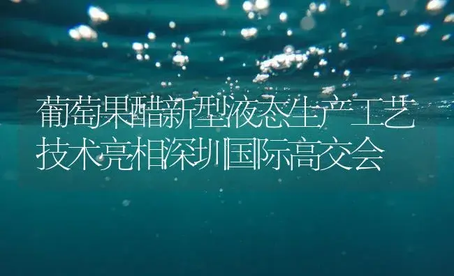 葡萄果醋新型液态生产工艺技术亮相深圳国际高交会 | 植物百科
