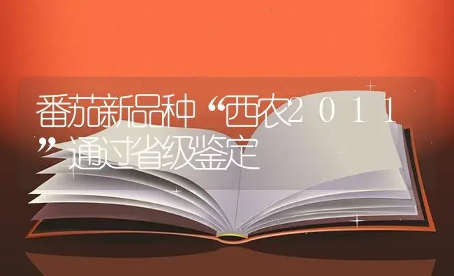 番茄新品种“西农2011”通过省级鉴定 | 植物百科