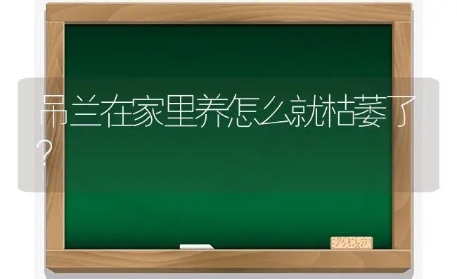 吊兰在家里养怎么就枯萎了？ | 植物问答