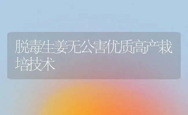 脱毒生姜无公害优质高产栽培技术 | 植物百科