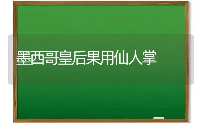 墨西哥皇后果用仙人掌 | 植物科普