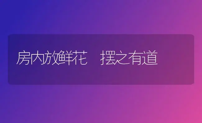 房内放鲜花 摆之有道 | 植物科普
