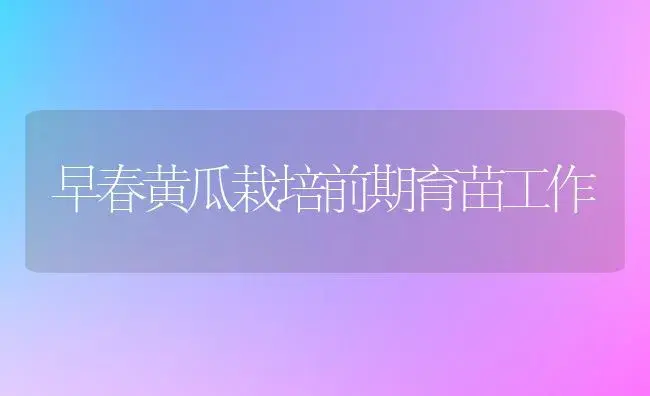 早春黄瓜栽培前期育苗工作 | 植物科普