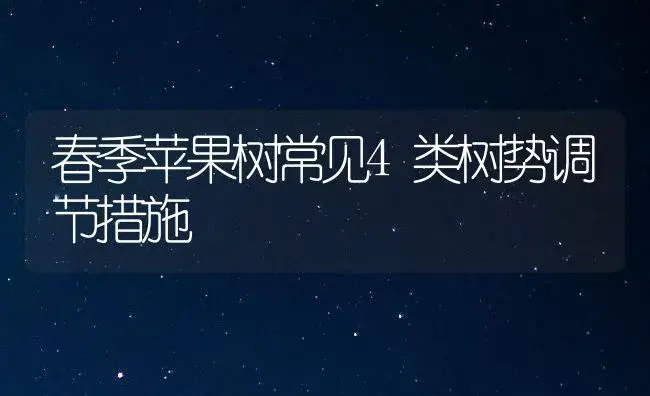 春季苹果树常见4类树势调节措施 | 植物百科