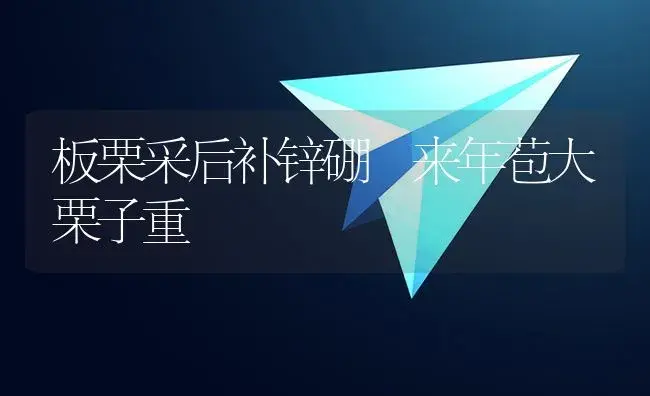 板栗采后补锌硼 来年苞大栗子重 | 植物资料