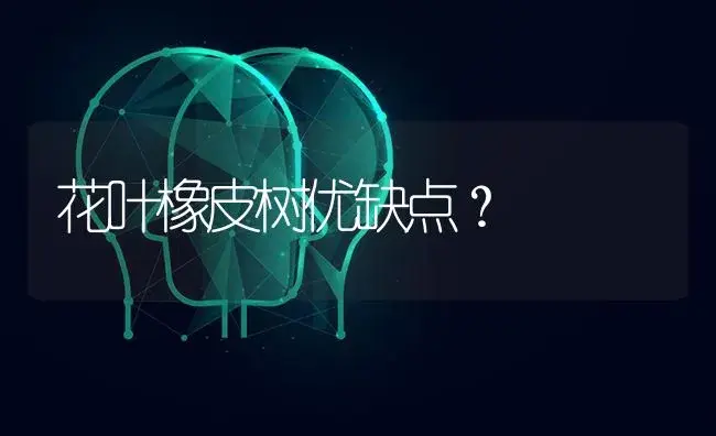 花叶橡皮树优缺点？ | 植物问答