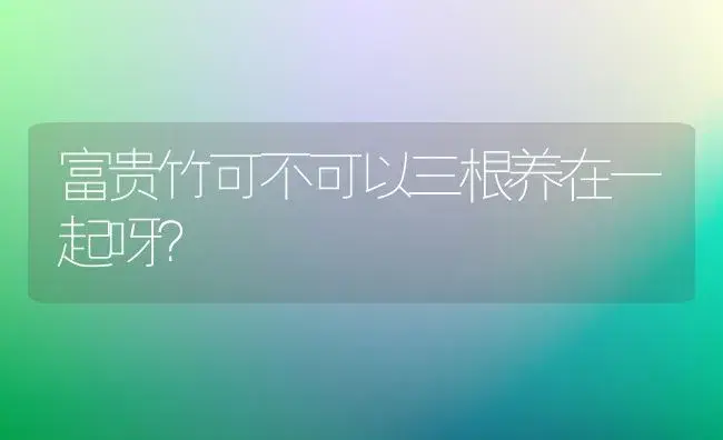 富贵竹可不可以三根养在一起呀？ | 植物问答