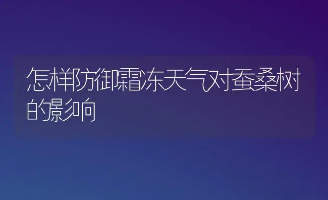 怎样防御霜冻天气对蚕桑树的影响 | 植物知识