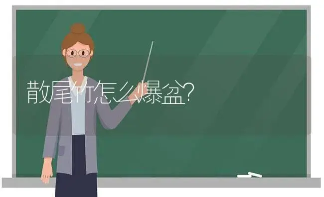 散尾竹怎么爆盆？ | 植物问答