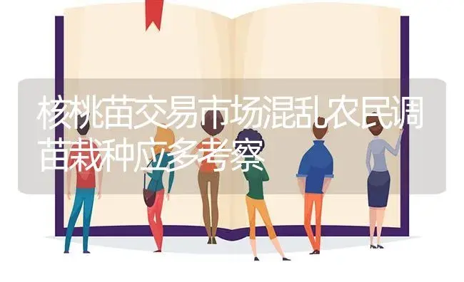核桃苗交易市场混乱农民调苗栽种应多考察 | 植物百科