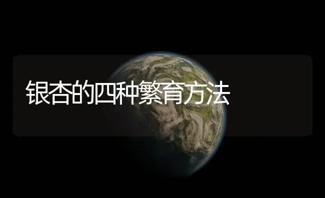 银杏的四种繁育方法 | 植物知识