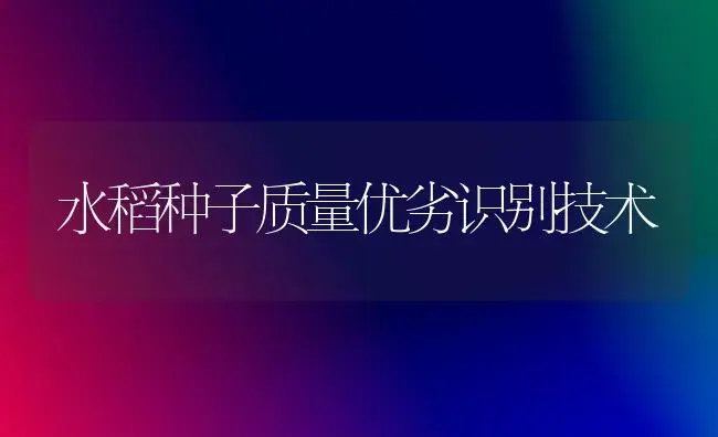 水稻种子质量优劣识别技术 | 植物科普
