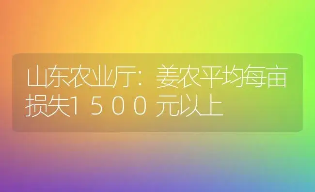 山东农业厅：姜农平均每亩损失1500元以上 | 植物科普