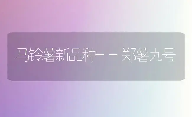 鲜食大枣品种介绍 | 植物百科