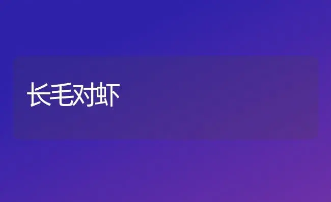长毛对虾 | 植物科普