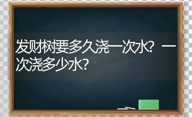 发财树要多久浇一次水?一次浇多少水？ | 植物问答