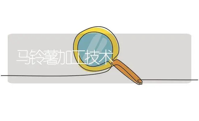 马铃薯加工技术 | 植物百科
