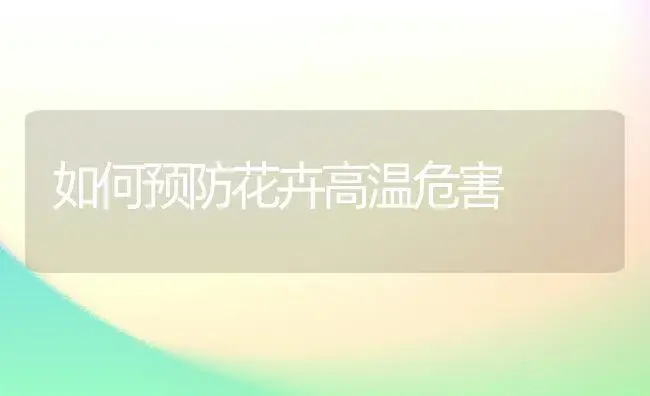 如何预防花卉高温危害 | 植物知识