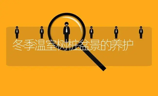 冬季温室树桩盆景的养护 | 植物知识