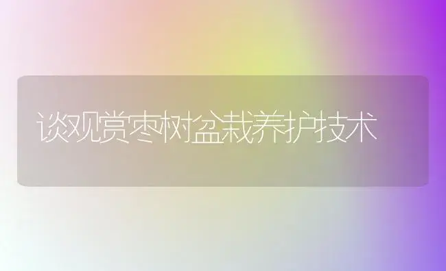 谈观赏枣树盆栽养护技术 | 植物知识