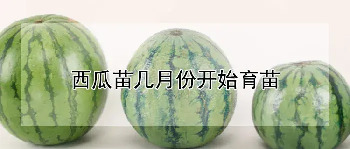 西瓜苗几月份开始育苗