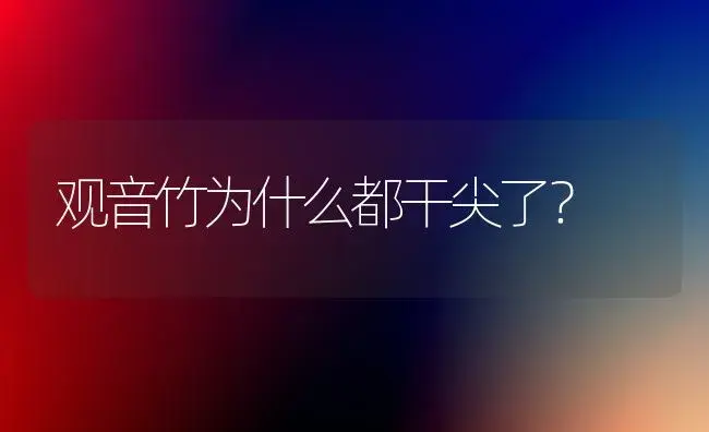 观音竹为什么都干尖了？ | 植物问答