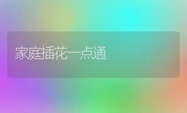 家庭插花一点通 | 植物知识