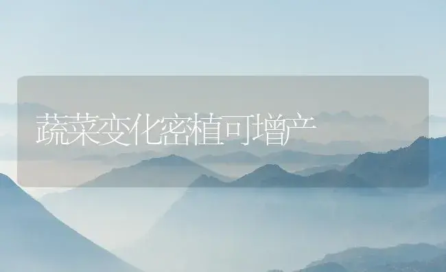 蔬菜变化密植可增产 | 植物百科