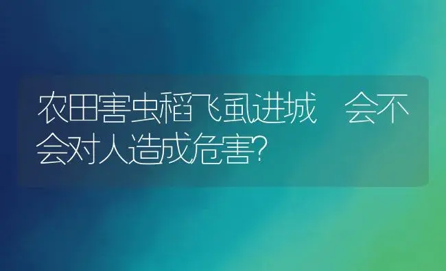 农田害虫稻飞虱进城 会不会对人造成危害？ | 植物资料