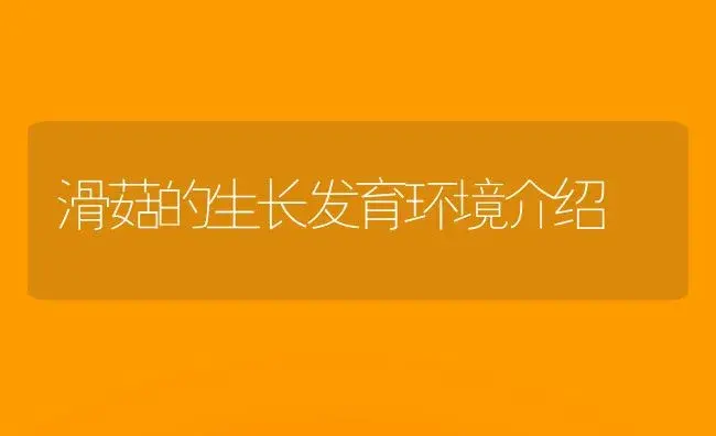滑菇的生长发育环境介绍 | 植物科普