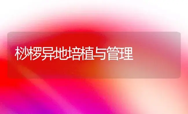 桫椤异地培植与管理 | 植物知识