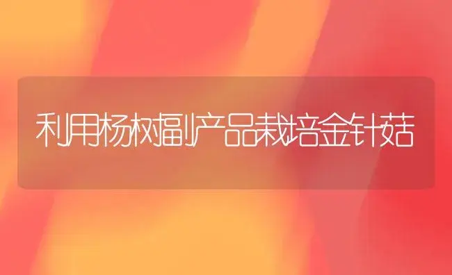 利用杨树副产品栽培金针菇 | 植物科普