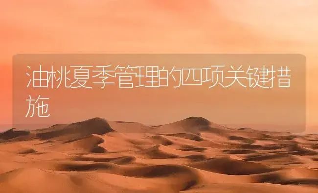 油桃夏季管理的四项关键措施 | 植物百科
