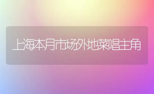 上海本月市场外地菜唱主角 | 植物科普