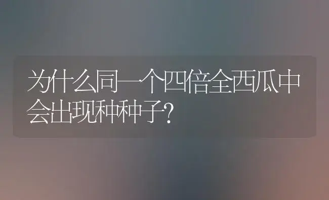 为什么同一个四倍全西瓜中会出现种种子？ | 植物百科